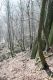 Název souboru=Usti_27_3_2016_14.jpg
Velikost souboru=521KB
Rozměry=600x900
Datum přidání=30.03.2016 Usti_27_3_2016_14.jpg