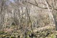 Název souboru=Usti_27_3_2016_16.jpg
Velikost souboru=596KB
Rozměry=1024x683
Datum přidání=30.03.2016 Usti_27_3_2016_16.jpg