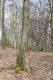Název souboru=Usti_27_3_2016_36.jpg
Velikost souboru=556KB
Rozměry=600x900
Datum přidání=30.03.2016 Usti_27_3_2016_36.jpg