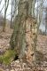 Název souboru=Usti_27_3_2016_37.jpg
Velikost souboru=532KB
Rozměry=600x900
Datum přidání=30.03.2016 Usti_27_3_2016_37.jpg