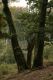 Nom du fichier=V_Kliz_8_10_2016_231.jpg
Taille du fichier=502Ko
Dimensions : 600x900
Ajouté le : 09 Janvier 2018 V_Kliz_8_10_2016_231.jpg