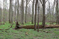 Název souboru=V_Vrestov_1_5_2022_10.jpg
Velikost souboru=693KB
Rozměry=1024x683
Datum přidání=18.02.2023 V_Vrestov_1_5_2022_10.jpg