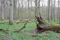 Název souboru=V_Vrestov_1_5_2022_11.jpg
Velikost souboru=711KB
Rozměry=1024x683
Datum přidání=18.02.2023 V_Vrestov_1_5_2022_11.jpg