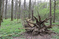 Název souboru=V_Vrestov_1_5_2022_12.jpg
Velikost souboru=733KB
Rozměry=1024x683
Datum přidání=18.02.2023 V_Vrestov_1_5_2022_12.jpg