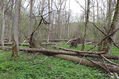 Název souboru=V_Vrestov_1_5_2022_15.jpg
Velikost souboru=712KB
Rozměry=1024x683
Datum přidání=18.02.2023 V_Vrestov_1_5_2022_15.jpg