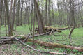 Název souboru=V_Vrestov_1_5_2022_19.jpg
Velikost souboru=748KB
Rozměry=1024x683
Datum přidání=18.02.2023 V_Vrestov_1_5_2022_19.jpg