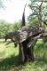 Filename=Valtice_6_5_2018_06.jpg
Filesize=551KiB
Dimensions=600x900
Date added=Dec 10, 2018 Valtice_6_5_2018_06.jpg