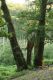 Vel_Kliz_21_5_2016_78.jpg