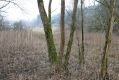 Název souboru=Vel_Porici_13_2_2016_03.jpg
Velikost souboru=515KB
Rozměry=1024x683
Datum přidání=13.02.2016 Vel_Porici_13_2_2016_03.jpg