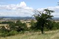 Velis_26_7_2009_04.jpg