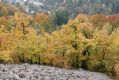 Název souboru=Vyhne_28_10_2011_01.jpg
Velikost souboru=573KB
Rozměry=1024x683
Datum přidání=31.10.2017 Vyhne_28_10_2011_01.jpg