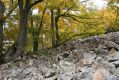Název souboru=Vyhne_28_10_2011_02.jpg
Velikost souboru=595KB
Rozměry=1024x683
Datum přidání=31.10.2017 Vyhne_28_10_2011_02.jpg