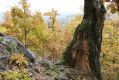 Název souboru=Vyhne_28_10_2011_05.jpg
Velikost souboru=539KB
Rozměry=1024x683
Datum přidání=31.10.2017 Vyhne_28_10_2011_05.jpg