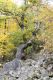 Název souboru=Vyhne_28_10_2011_09.jpg
Velikost souboru=583KB
Rozměry=600x900
Datum přidání=31.10.2017 Vyhne_28_10_2011_09.jpg