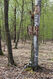 Název souboru=Zdechovice2C-26_4_2022_02.jpg
Velikost souboru=749KB
Rozměry=683x1024
Datum přidání=18.02.2023 Zdechovice2C-26_4_2022_02.jpg