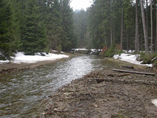 Staré Hamry, Černá, 14.4.2012 
Meandr Černé Ostravice
Schlüsselwörter: Beskydy Staré Hamry Černá Ostravice Ctenicera virens heyeri