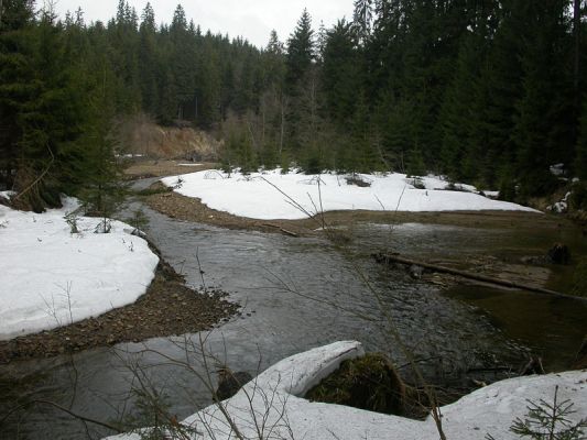 Staré Hamry, Černá, 14.4.2012 
Meandr Černé Ostravice
Schlüsselwörter: Beskydy Staré Hamry Černá Ostravice Ctenicera virens heyeri