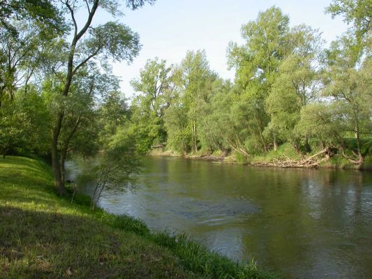 Náplavy vegetace po povodni na jaře 2005
