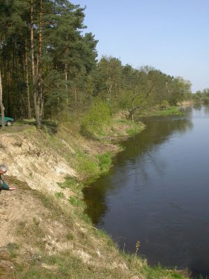 meandr řeky Warty
Bílá hora. Řeka se zde zařezává do písečného přesypu
