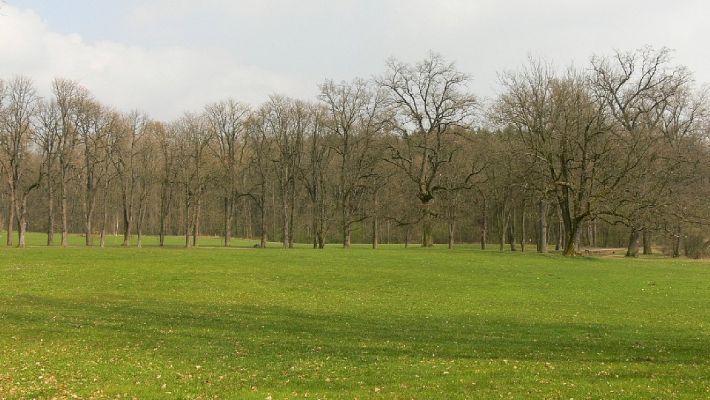 Žamberk - zámecký park 12.4.2008
Stará jírovcová álej.
Schlüsselwörter: Žamberk zámecký park álej jírovec