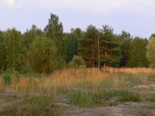 Hradec Králové - PP Na Plachtě 22.7.2006
Severní část vřesoviště a písčin v PP Na Plachtě.
Mots-clés: Hradec Králové PP Na Plachtě vřesoviště písčiny