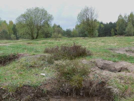 Hradec Králové - PP Na Plachtě 30.4.2006
Vřesoviště v centrální části lokality - biotop vzácných druhů hmyzu. Je to momentálně jediná lokalita s výskytem velmi vzácného nosatce Coniocleonus nebulosus v České republice.
Schlüsselwörter: Hradec Králové PP Na Plachtě vřesoviště Coniocleonus nebulosus