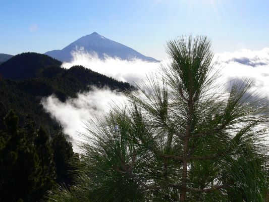 Parque Nacional del Teide 10.3.2008
Pico del Teide je s výškou 3718 metrů nad mořem nejvyšší horou Španělska.
Klíčová slova: Kanárské ostrovy Tenerife Parque Nacional del Teide Pico Španělsko