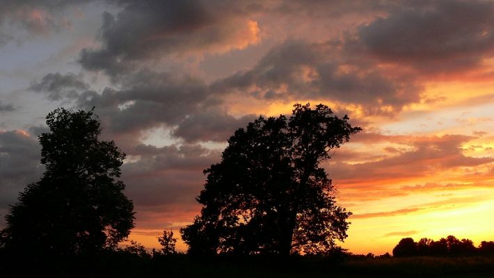 Opatovice nad Labem, Polabiny, 27.6.2008
Den vystřídá noc a krajinou se šíří první strašidelné zvuky nočních obyvatel.
Mots-clés: Opatovice nad Labem, Polabiny