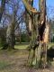 Název souboru=Žamberk_-_zámecký_park_13_4_2008_1.JPG
Velikost souboru=479KB
Rozměry=783x1044
Datum přidání=13.04.2008 Žamberk_-_zámecký_park_13_4_2008_1.JPG