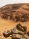 Název souboru=Parque_Nacional_del_Teide_12a.jpg
Velikost souboru=506KB
Rozměry=783x1044
Datum přidání=16.03.2008 Parque_Nacional_del_Teide_12a.jpg