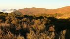 Parque_Nacional_del_Teide_6a.jpg