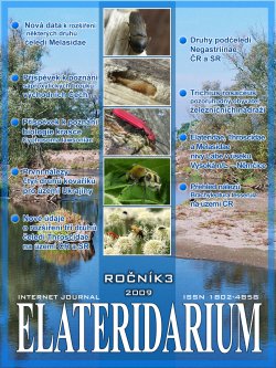 Elateridarium