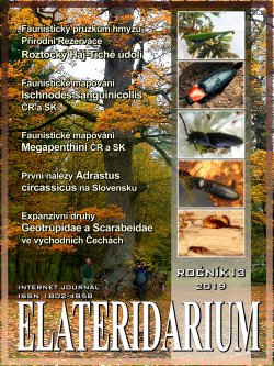 Elateridarium