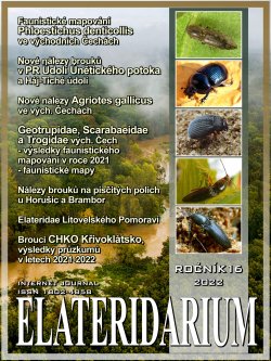 Elateridarium