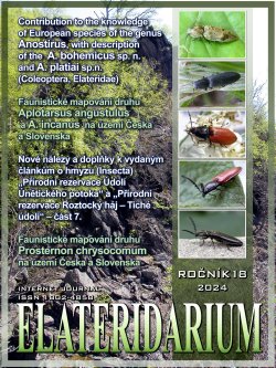 Elateridarium