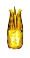 Athousius zhongdianensis