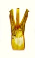Ectinus ruzzieri