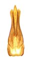 Liotrichus kalabi