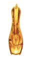 Liotrichus kucerai