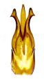 Sinophotistus sulcatoides